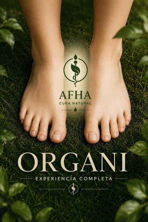 Organi️ Completo