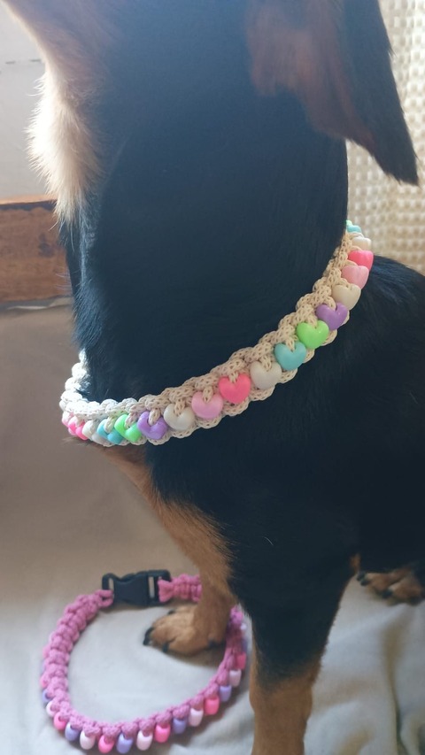 Collares Personalizados para Perros - Tamaño mediano