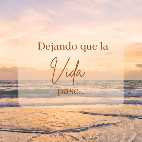Dejando que la Vida Pase…