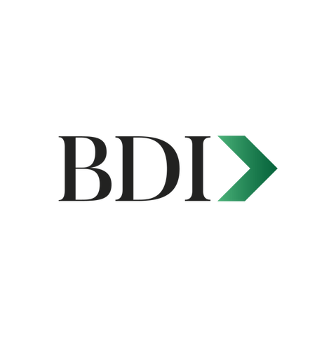 BDI Consultora