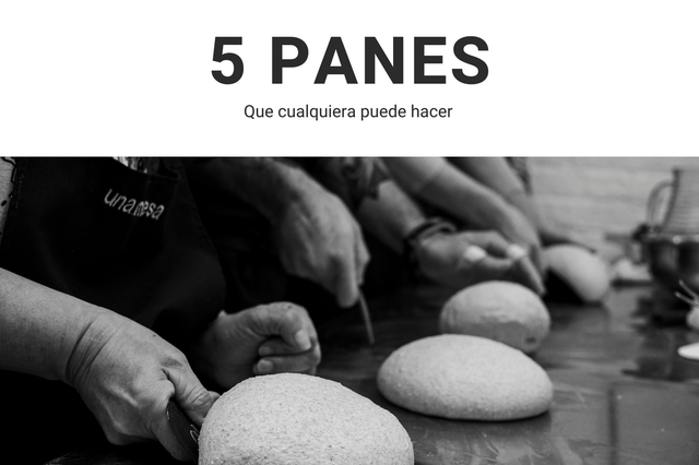 ¿Qué pasa cuando un contenido se hace viral?