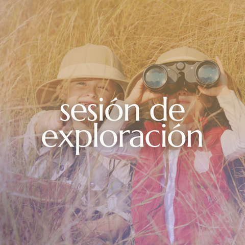 Sesión de exploración (30 min)
