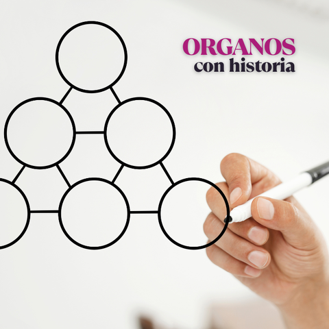 Organos con historia
