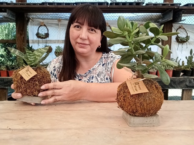 Kokedamas con suculentas