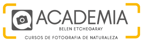 ACADEMIA Belen Etchegaray