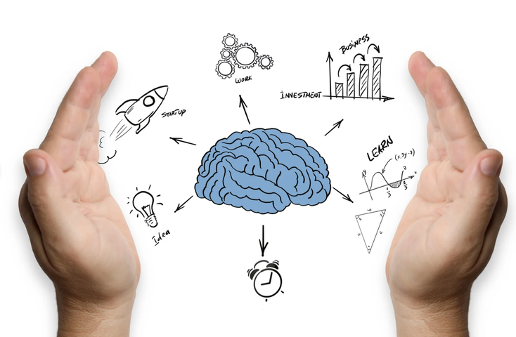 Certificación Internacional en Neurociencia Aplicada a la Educación: Aprendizaje y Evidencias para el aula