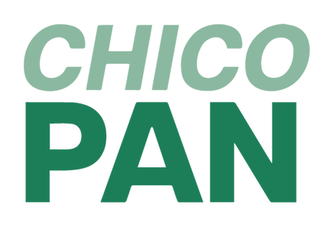 cursoschicopan