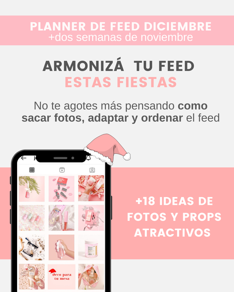 Planner de feed Diciembre + dos semanas Noviembre