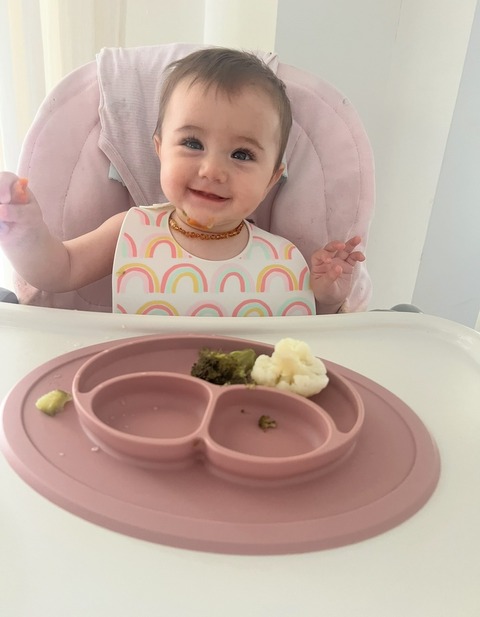 ALIMENTACION COMPLEMENTARIA Y BLW