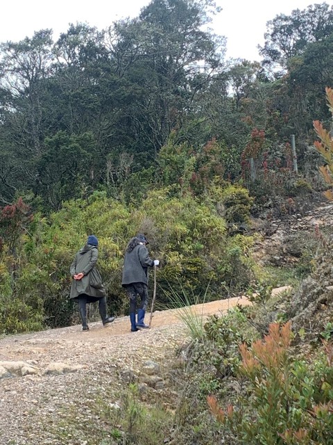 Soy Mafe Franco, ¿Vamos a caminar juntas la montaña? 