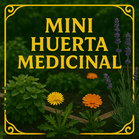 Mini huerta Medicinal en casa