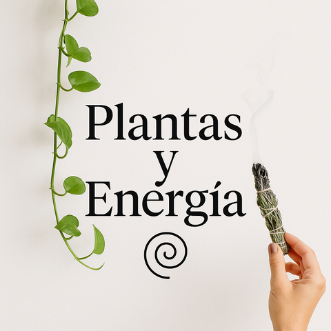 Plantas y energía 
