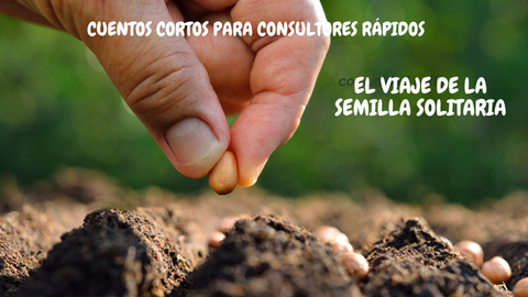 El Legado de los Viñedos