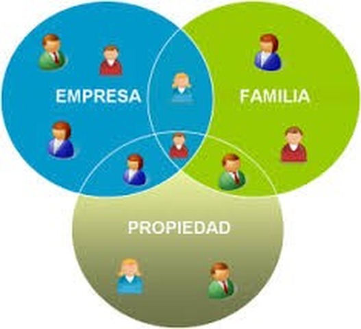 Empresas Familiares y Familias Empresarias (Enero 25)