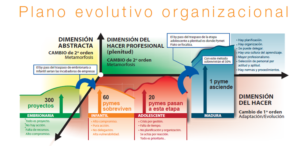 Ciclo de Vida de las Organizaciones