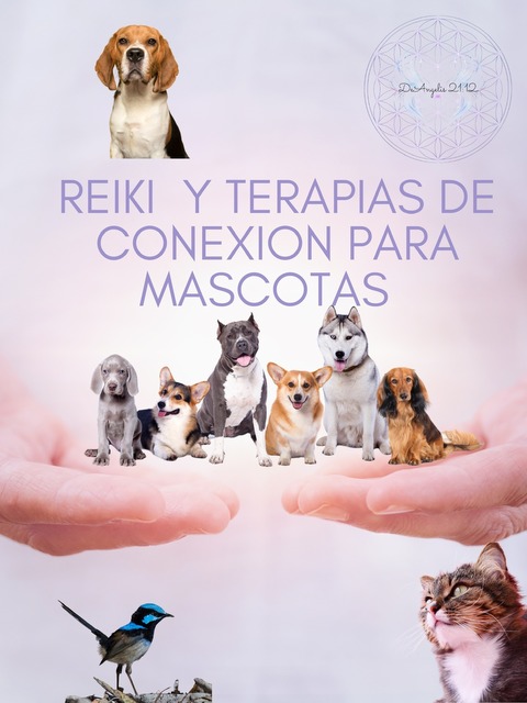 Terapias para Mascotas 