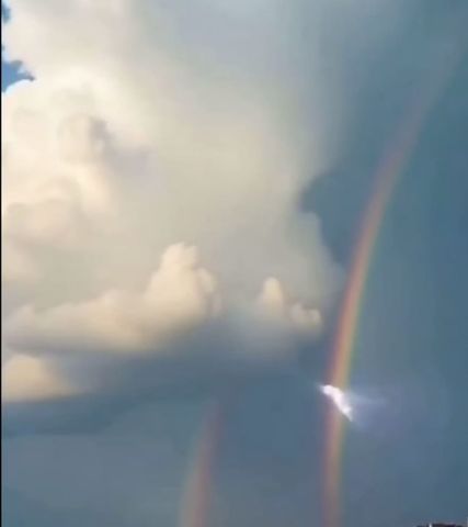 Florecer en Tu Propia Luz: El Abrazo Protector de tu Aura Auténtica