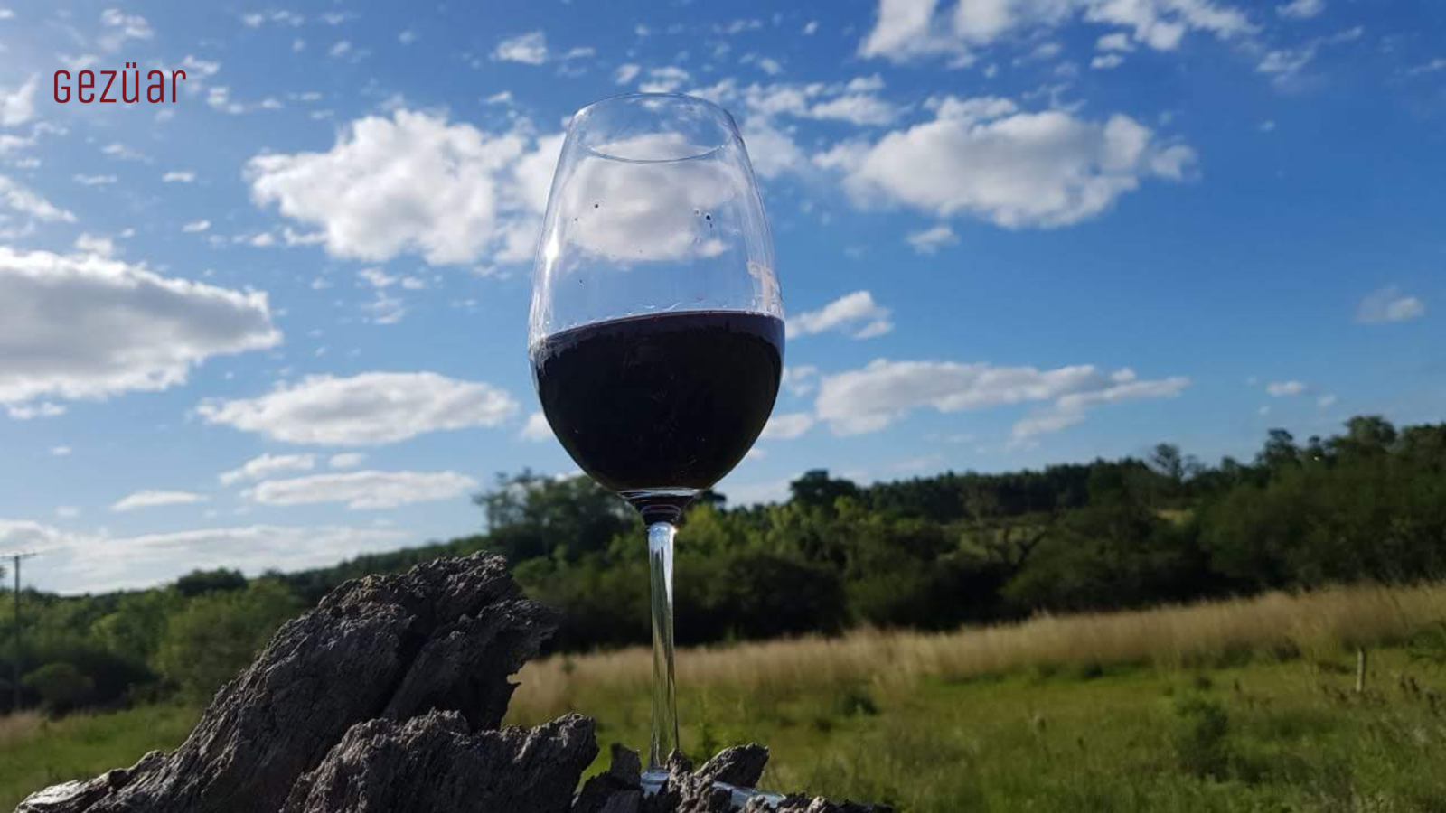 Albanian Wine Tourism con Gezuar: descubrí el vino albanés en su esencia Gezuar te invita a vivir una experiencia inolvidable a través del turismo del vino en Albania. Nuestras visitas guiadas a vinotecas albanesas están pensadas para quienes buscan una conexión auténtica con el vino, la cultura y la historia local.  Con Gezuar – Albanian Wine Tourism, explorás vinotecas tradicionales y modernas en Tirana y otras regiones, disfrutando de degustaciones de vinos albaneses, maridajes con productos típicos y charlas con enólogos y dueños de vinotecas que te abren las puertas de su mundo.  ✅ Experiencias culturales con enfoque local ✅ Actividades gratuitas para turistas extranjeros ✅ Visitas personalizadas en español, inglés o italiano ✅ Acceso a vinos albaneses únicos y poco conocidos fuera del país ✅ Enoturismo responsable y sustentable  Ya seas un amante del vino, un viajero curioso o alguien que busca cosas diferentes para hacer en Albania, esta experiencia es para vos. Descubrí por qué el vino albanés está ganando reconocimiento mundial, y hacelo de la mano de quienes lo viven cada día.  🔍 Palabras clave: vino albanés, enoturismo en Albania, visitas a vinotecas en Tirana, experiencia de vino en Albania, degustaciones de vino en Albania, tour de vino gratis Albania, qué hacer en Tirana, vino y cultura albanesa.  🍷 ¡Brindá con nosotros! Gezuar – turismo del vino en Albania Sumate a nuestras experiencias y descubrí la magia del vino albanés.