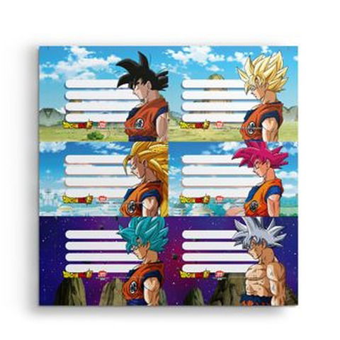 Etiquetas Mooving Dragon Ball x12 Mod24