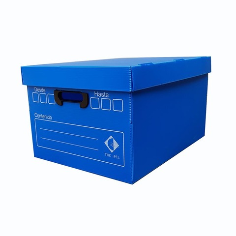 Caja de Archivo Plástica con Tapa 