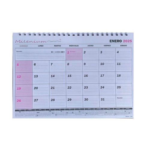 Calendario 2025 Milenium Esp. 23x32,5 cm (Oficio Apaisado) (CA01)