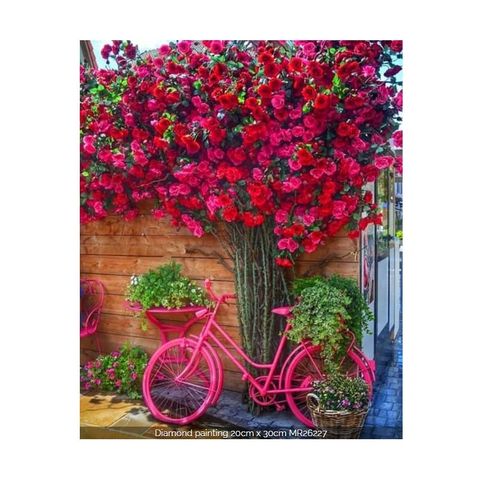 Diamond Painting ASB 20x30 S/Bastidor 