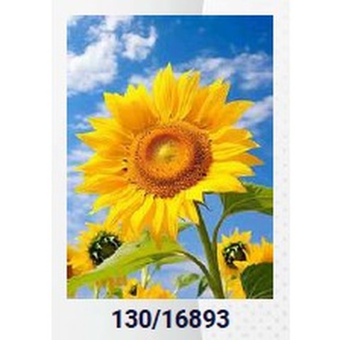 Diamond Painting ASB 20x30 S/Bastidor 
