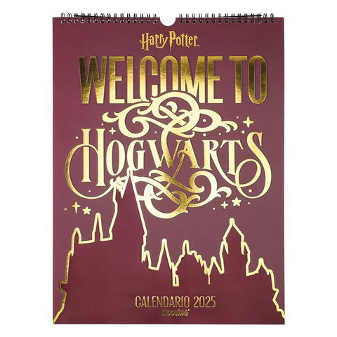 Calendario 2025 de Pared Mooving Harry Potter 30x40 (9222)