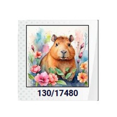 Diamond Painting ASB 20x20 S/Bastidor 