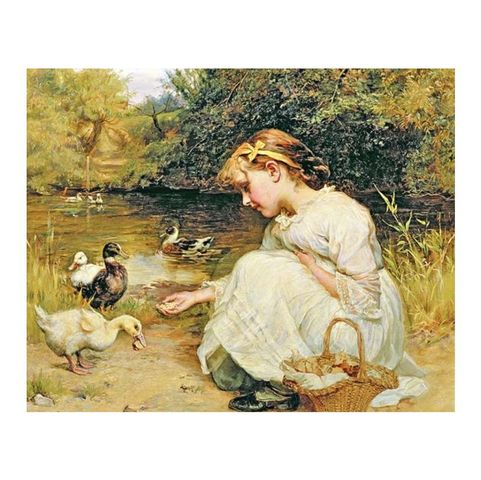 Diamond Painting ASB 20x30 S/Bastidor 