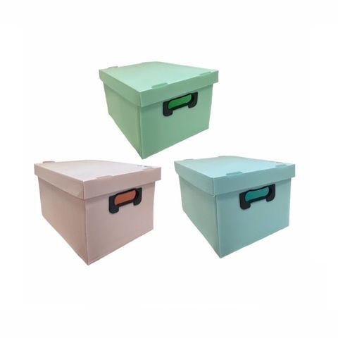 Caja de Archivo Plástica con Tapa Rideo 