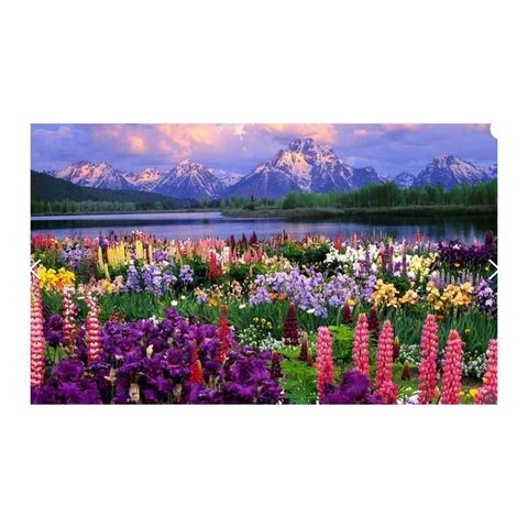 Diamond Painting ASB 20x30 S/Bastidor 