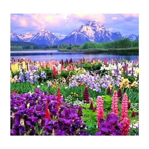 Diamond Painting ASB 20x20 S/Bastidor 