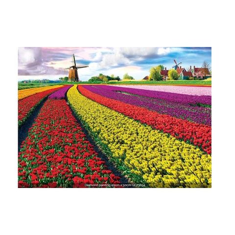 Diamond Painting 40x50cm Estuche cristal 