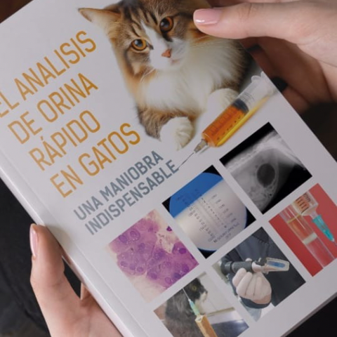ANÁLISIS DE ORINA PRÁCTICO