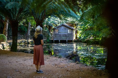3 pasos para Crear tu Refugio Interno