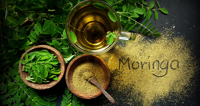 Moringa: El super alimento para tu piel