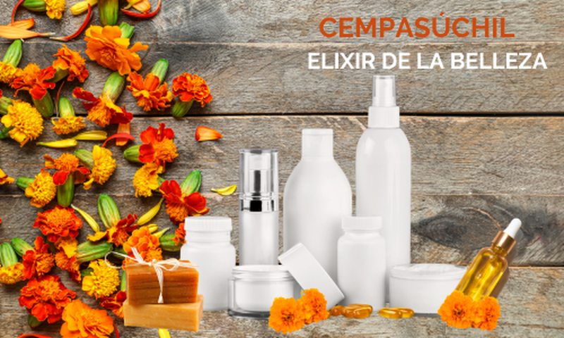 Elixir de la Belleza