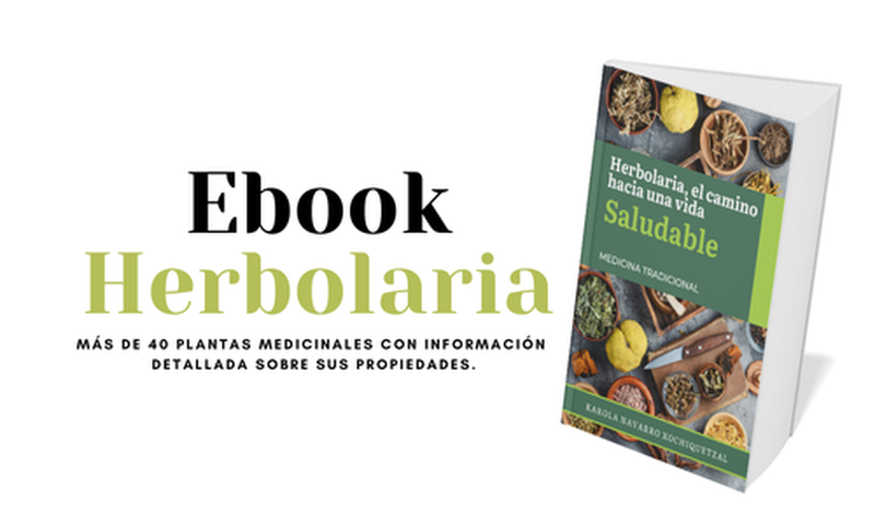 Herbolaria, el camino hacia una vida saludable