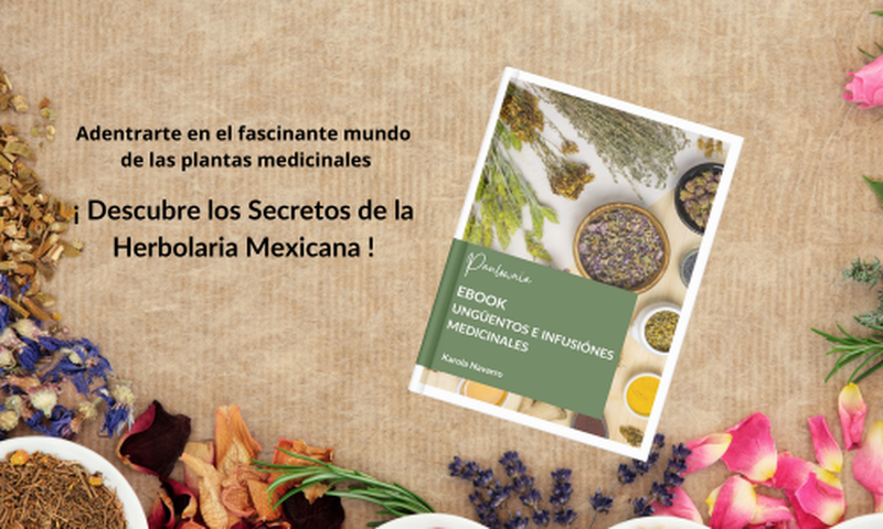 El Arte de los Ungüentos e Infusiónes