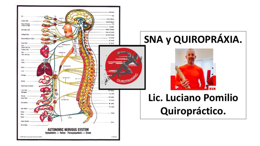 Seminario Quiropráctica Científica y SNA