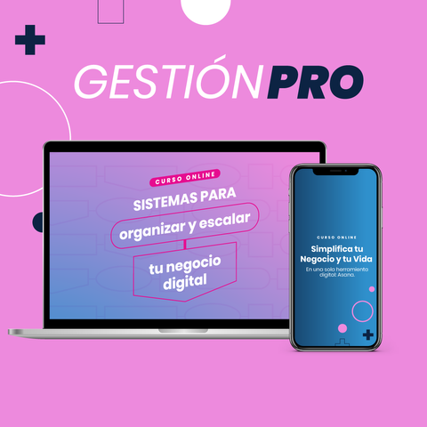 GESTION PRO