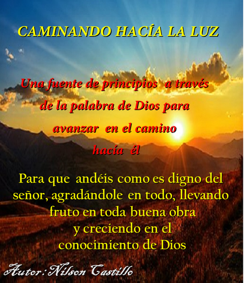 Caminando hacia la luz 