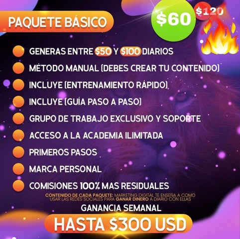 Nivel Básico Programa STM 