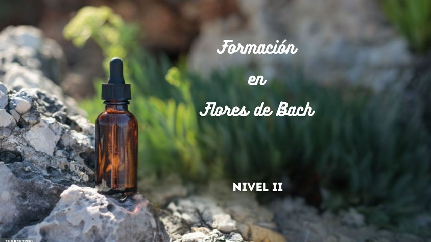 Formación en Flores de Bach - Nivel II - 