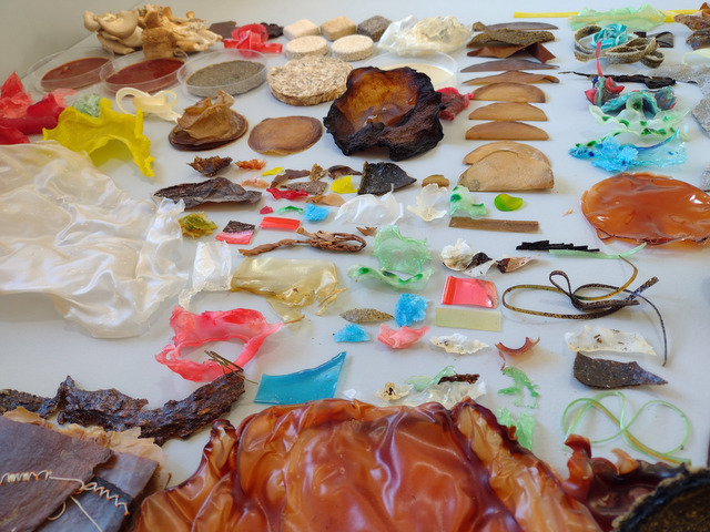 Biomateriales: Bioplásticos y biobasados. Translúcidos, con fibras y espumados.Vídeos del paso a paso.