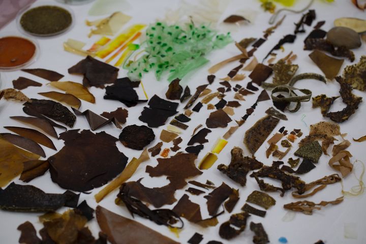 CURSO COMPLETO DE BIOMATERIALES