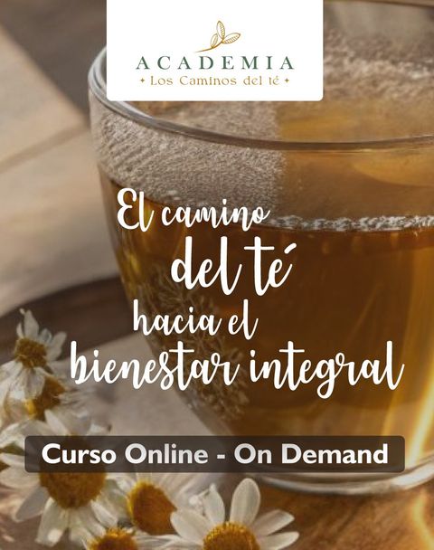 El camino del té hacia el bienestar integral