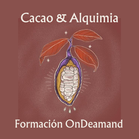 Formación Círculos de Cacao