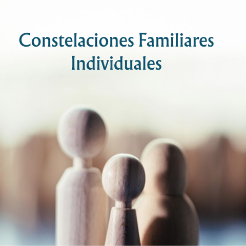 Constelaciones Familiares - Individual